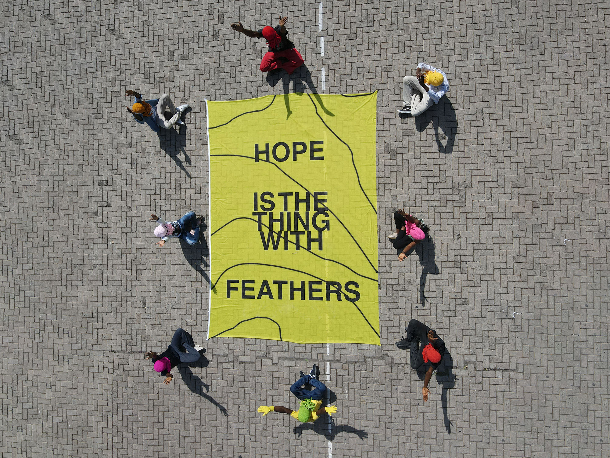 Hope Is the Thing With Feathers