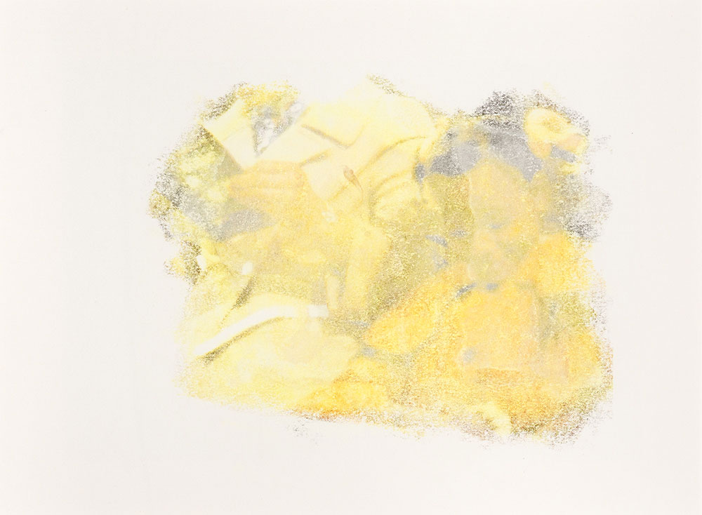 Kevin Demery: Untitled (Menagerie)